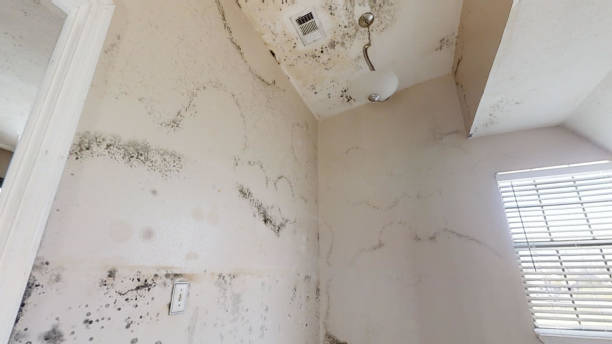 Best Mold-Related Health Consultation  in Nahunta, GA