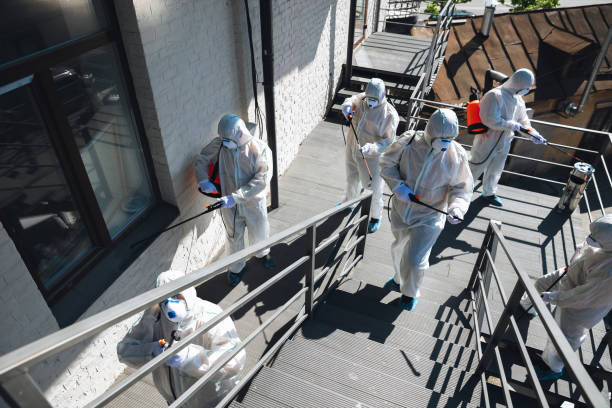 Mold Remediation for Vacation Homes in Nahunta, GA