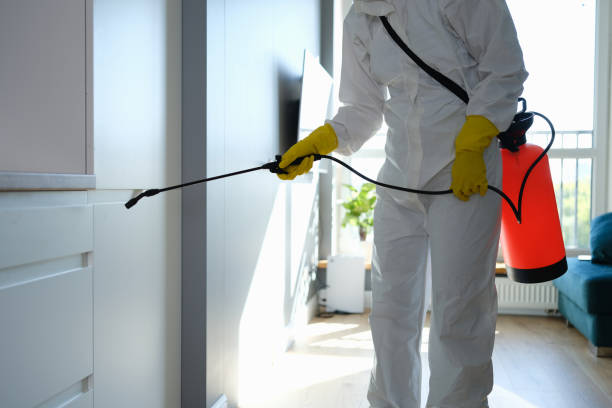 Best Asbestos and Lead Testing During Mold Inspection  in Nahunta, GA